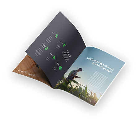 Afbeelding brochure